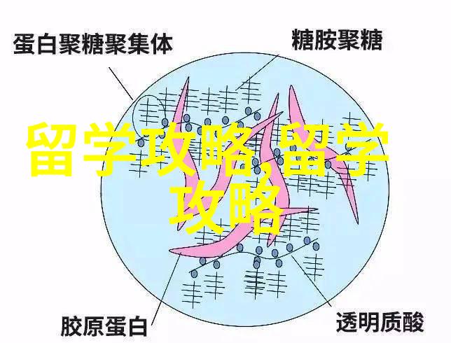 马来西亚留学值得读吗